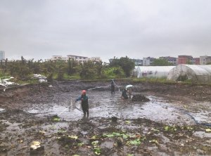 阜宁河道鱼塘清淤